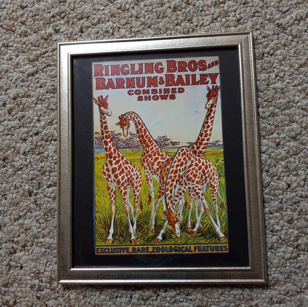 Frame Mounted Ringling Bros, Barnum & Bailey Circus Poster Reproduction.